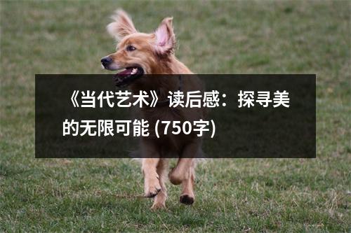 《當代藝術》讀后感：探尋美的無限可能 (750字)