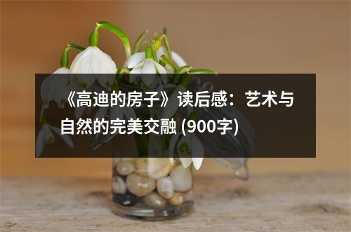 《高迪的房子》讀后感：藝術(shù)與自然的完美交融 (900字)