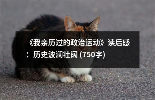 《我親歷過的政治運動》讀后感：歷史波瀾壯闊 (750字)