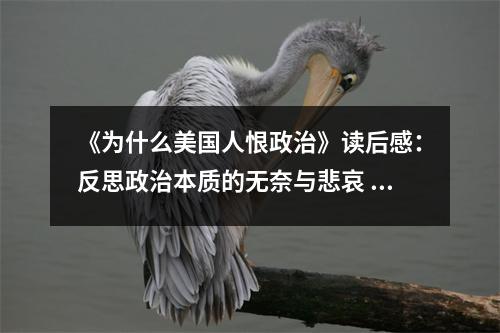 《為什么美國人恨政治》讀后感：反思政治本質(zhì)的無奈與悲哀 (750字)