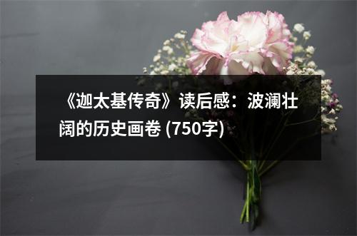《迦太基傳奇》讀后感：波瀾壯闊的歷史畫卷 (750字)