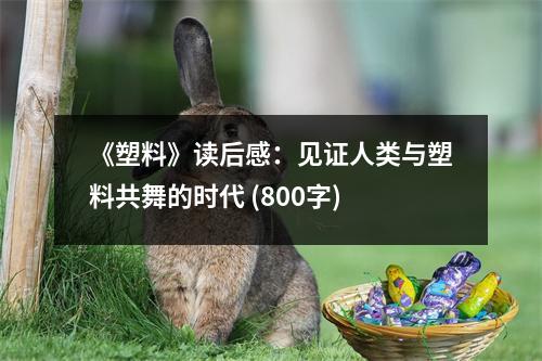 《塑料》讀后感：見證人類與塑料共舞的時代 (800字)