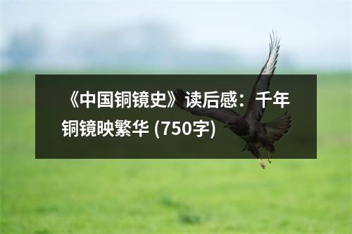 《中國銅鏡史》讀后感：千年銅鏡映繁華 (750字)