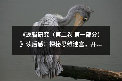 《邏輯研究（第二卷 第一部分）》讀后感：探秘思維迷宮，開啟智慧之門 (700字)