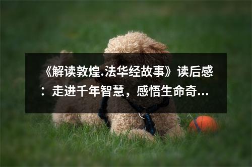 《解讀敦煌.法華經(jīng)故事》讀后感：走進(jìn)千年智慧，感悟生命奇跡 (1050字)