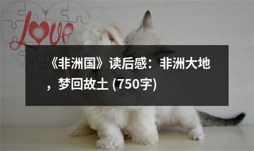 《非洲國(guó)》讀后感：非洲大地，夢(mèng)回故土 (750字)