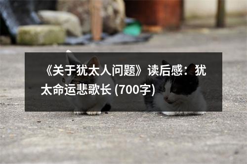 《關于猶太人問題》讀后感：猶太命運悲歌長 (700字)