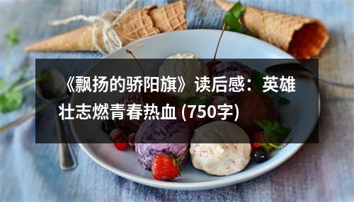 《飄揚的驕陽旗》讀后感：英雄壯志燃青春熱血 (750字)