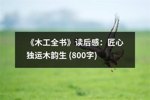 《木工全書(shū)》讀后感：匠心獨(dú)運(yùn)木韻生 (800字)
