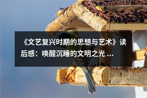 《文藝復興時期的思想與藝術》讀后感：喚醒沉睡的文明之光 (750字)