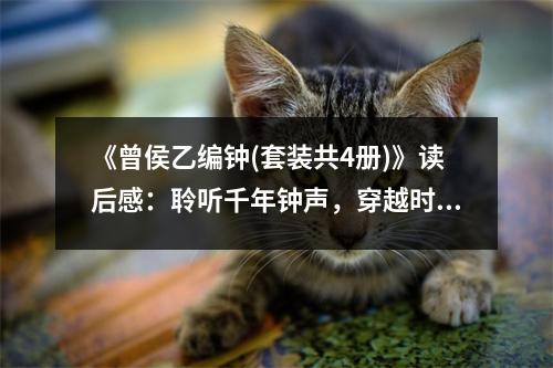 《曾侯乙編鐘(套裝共4冊)》讀后感：聆聽千年鐘聲，穿越時(shí)空的回響 (700字)