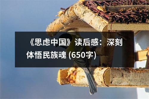 《思慮中國(guó)》讀后感：深刻體悟民族魂 (650字)