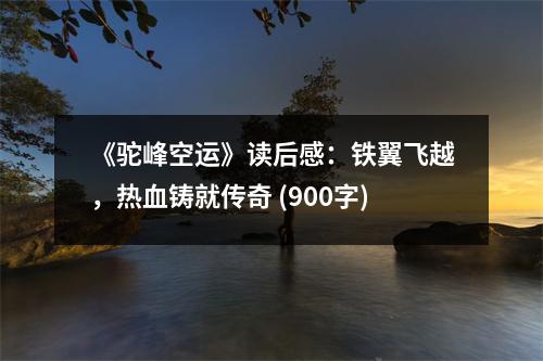 《駝峰空運》讀后感：鐵翼飛越，熱血鑄就傳奇 (900字)