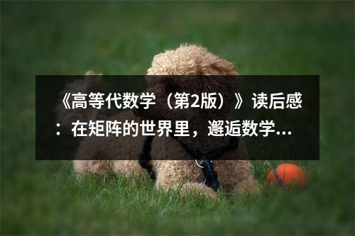 《高等代數(shù)學(xué)（第2版）》讀后感：在矩陣的世界里，邂逅數(shù)學(xué)之美 (700字)