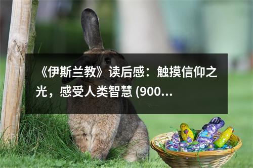 《伊斯蘭教》讀后感：觸摸信仰之光，感受人類智慧 (900字)