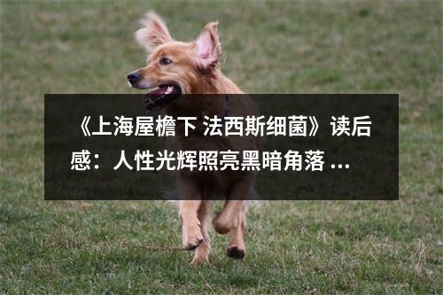 《上海屋檐下 法西斯細(xì)菌》讀后感：人性光輝照亮黑暗角落 (800字)