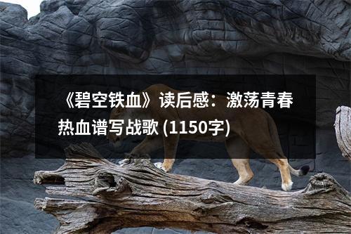 《碧空鐵血》讀后感：激蕩青春熱血譜寫戰(zhàn)歌 (1150字)