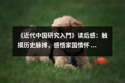 《近代中國研究入門》讀后感：觸摸歷史脈搏，感悟家國情懷 (1350字)
