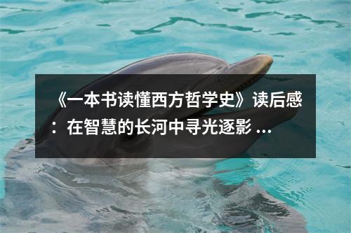 《一本書(shū)讀懂西方哲學(xué)史》讀后感：在智慧的長(zhǎng)河中尋光逐影 (1050字)