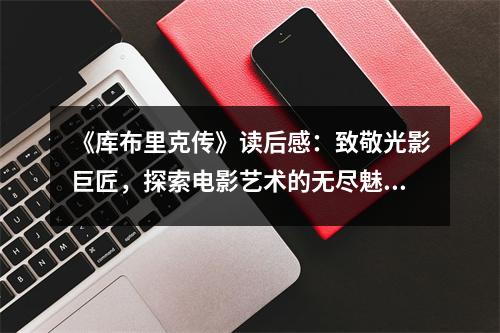 《庫布里克傳》讀后感：致敬光影巨匠，探索電影藝術(shù)的無盡魅力 (650字)