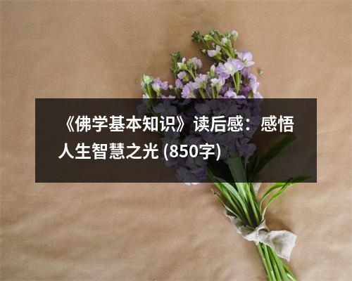 《佛學(xué)基本知識(shí)》讀后感：感悟人生智慧之光 (850字)