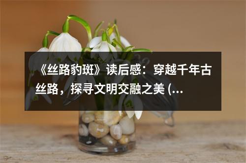 《絲路豹斑》讀后感：穿越千年古絲路，探尋文明交融之美 (750字)