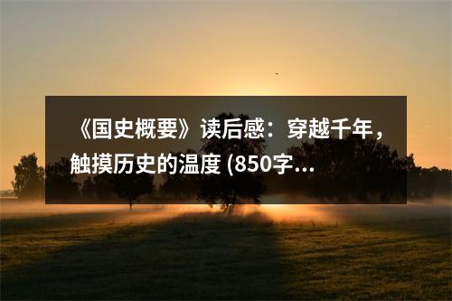 《國(guó)史概要》讀后感：穿越千年，觸摸歷史的溫度 (850字)
