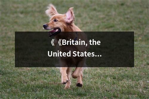 《《Britain, the United States, and the End of the Palestine Mandate, 1942-1948》讀后感：歷史塵埃中的抉擇與抉擇的代價 (800字)