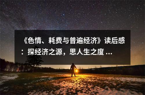 《色情、耗費與普遍經(jīng)濟》讀后感：探經(jīng)濟之源，思人生之度 (950字)