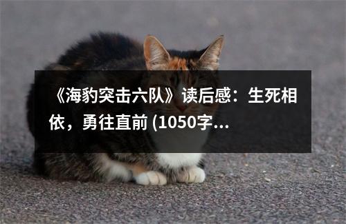 《海豹突擊六隊》讀后感：生死相依，勇往直前 (1050字)