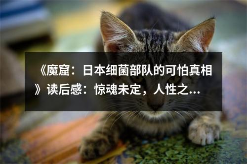 《魔窟：日本細菌部隊的可怕真相》讀后感：驚魂未定，人性之惡令人發(fā)指 (800字)