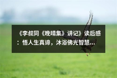 《李叔同《晚晴集》講記》讀后感：悟人生真諦，沐浴佛光智慧 (750字)