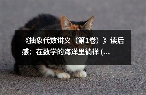 《抽象代數(shù)講義（第1卷）》讀后感：在數(shù)學(xué)的海洋里徜徉 (750字)