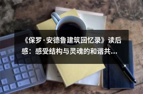《保羅·安德魯建筑回憶錄》讀后感：感受結(jié)構與靈魂的和諧共鳴 (750字)