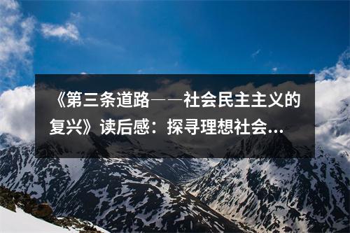 《第三條道路――社會(huì)民主主義的復(fù)興》讀后感：探尋理想社會(huì)的無(wú)限可能 (1150字)