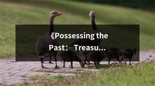 《Possessing the Past： Treasures from the National Palace Museum, Taipei》讀后感：穿越時空的藝術之旅 (750字)