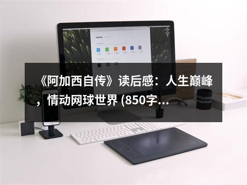 《阿加西自傳》讀后感：人生巔峰，情動網(wǎng)球世界 (850字)