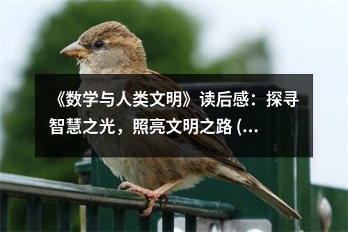 《數(shù)學與人類文明》讀后感：探尋智慧之光，照亮文明之路 (750字)