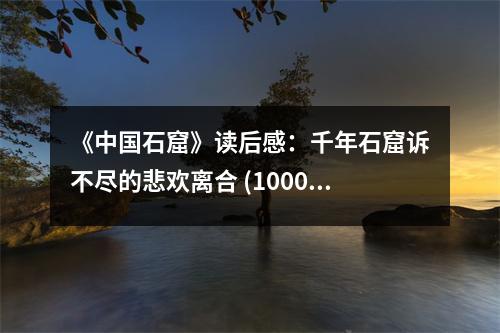《中國石窟》讀后感：千年石窟訴不盡的悲歡離合 (1000字)