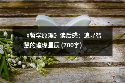 《哲學(xué)原理》讀后感：追尋智慧的璀璨星辰 (700字)