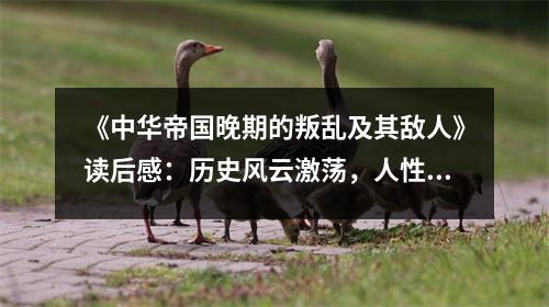 《中華帝國晚期的叛亂及其敵人》讀后感：歷史風(fēng)云激蕩，人性光輝熠熠生輝 (700字)