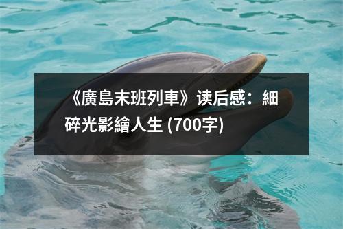 《廣島末班列車》讀后感：細(xì)碎光影繪人生 (700字)