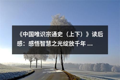 《中國唯識宗通史（上下）》讀后感：感悟智慧之光綻放千年 (800字)