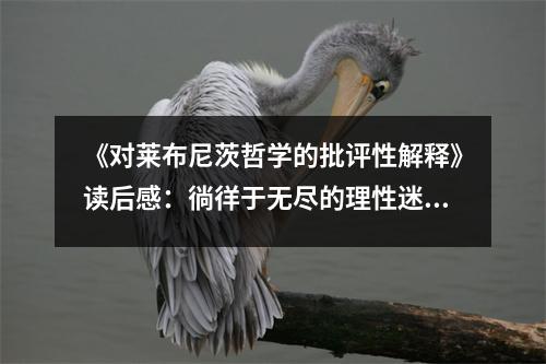 《對(duì)萊布尼茨哲學(xué)的批評(píng)性解釋》讀后感：徜徉于無(wú)盡的理性迷宮 (1100字)