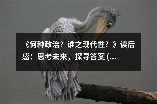 《何種政治？誰之現(xiàn)代性？》讀后感：思考未來，探尋答案 (850字)