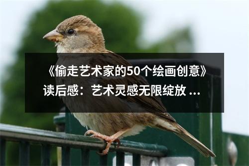 《偷走藝術(shù)家的50個(gè)繪畫創(chuàng)意》讀后感：藝術(shù)靈感無(wú)限綻放 (950字)
