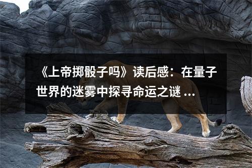 《上帝擲骰子嗎》讀后感：在量子世界的迷霧中探尋命運之謎 (950字)