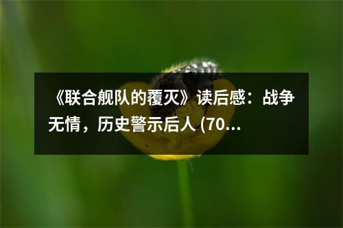 《聯(lián)合艦隊的覆滅》讀后感：戰(zhàn)爭無情，歷史警示后人 (700字)