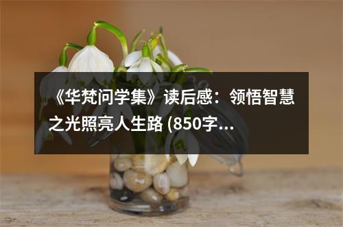 《華梵問學(xué)集》讀后感：領(lǐng)悟智慧之光照亮人生路 (850字)