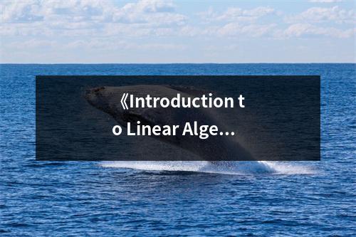 《Introduction to Linear Algebra, Fourth Edition》讀后感：線性之美，啟迪智慧之光 (650字)